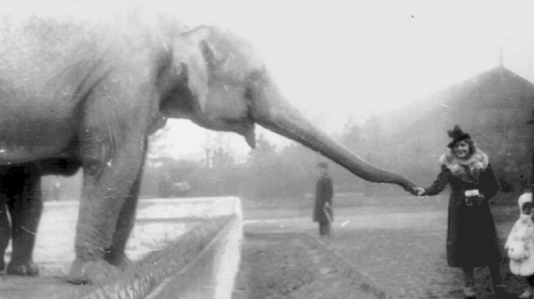 zoo